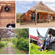 collage van vier foto's op het erf van de Prikkebosk. 1. Kapstok met stokpaardje en steltslopers en bbq 2. boerderij met overkapping van doeken en picknicktafels 3. pad met bloesemboom 3. kinderen op een traktor