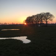 Kamelenboerderij, zonsondergang