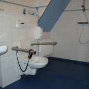 Klein Hoolhorst, rolstoeltoegankelijke badkamer